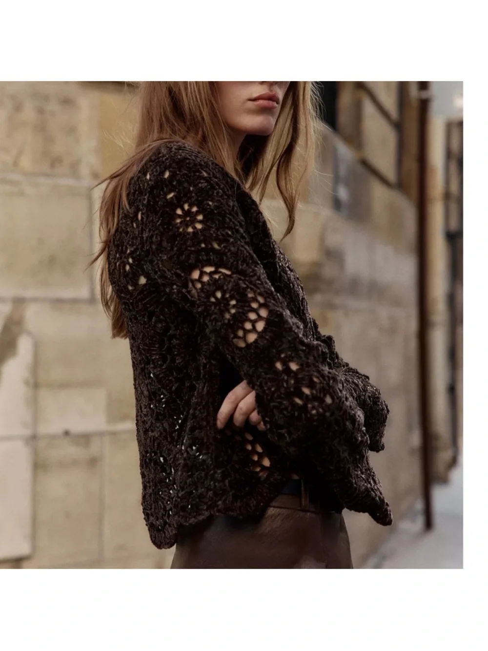 Zara NWT brown knit crochet hollow see through long sleeve top
